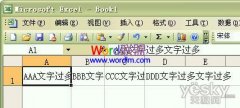 Excel2003单元格输入文字后自动调